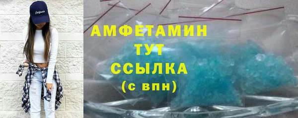 индика Балабаново