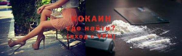 индика Балабаново
