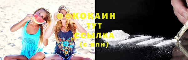 гашик Болотное