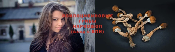 прущая мука Покачи