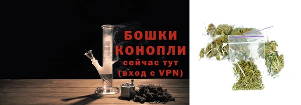 ГАЛЛЮЦИНОГЕННЫЕ ГРИБЫ Балахна