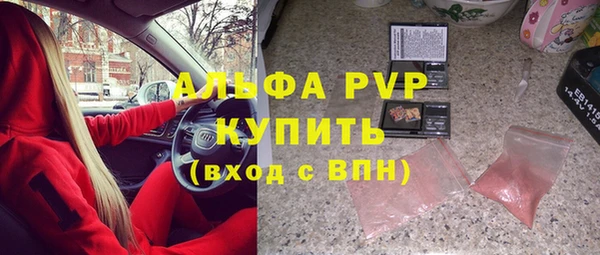индика Балабаново