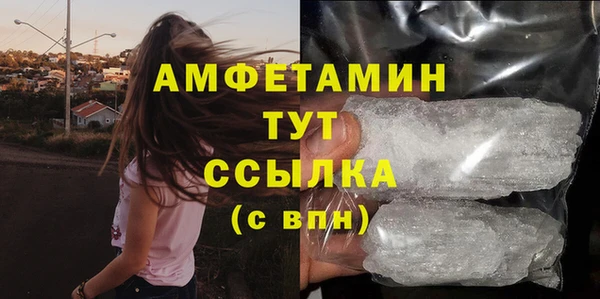 индика Балабаново