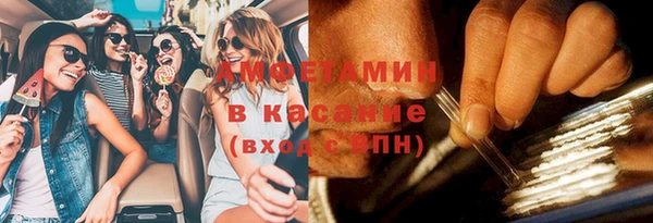индика Балабаново