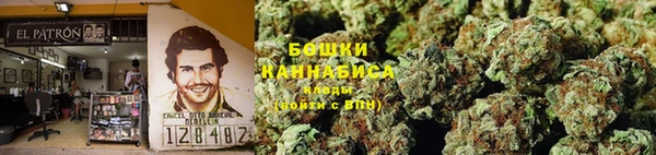 индика Балабаново